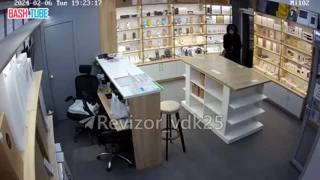  Во Владивостоке женщина попыталась украсть кошелек сотрудницы магазина техники, но тут же попалась