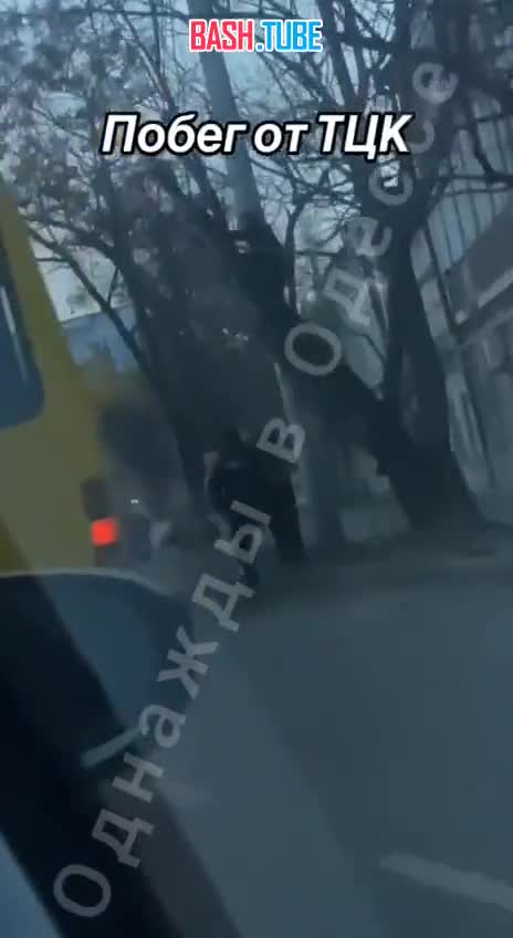 ⁣ Молодой человек в Одессе, пытаясь спастись от мобилизации, забрался на дерево
