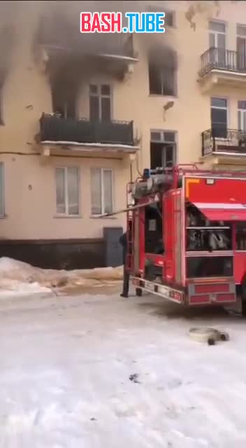 ⁣ Кот спас пожилую хозяйку из сильного пожара в Волхове