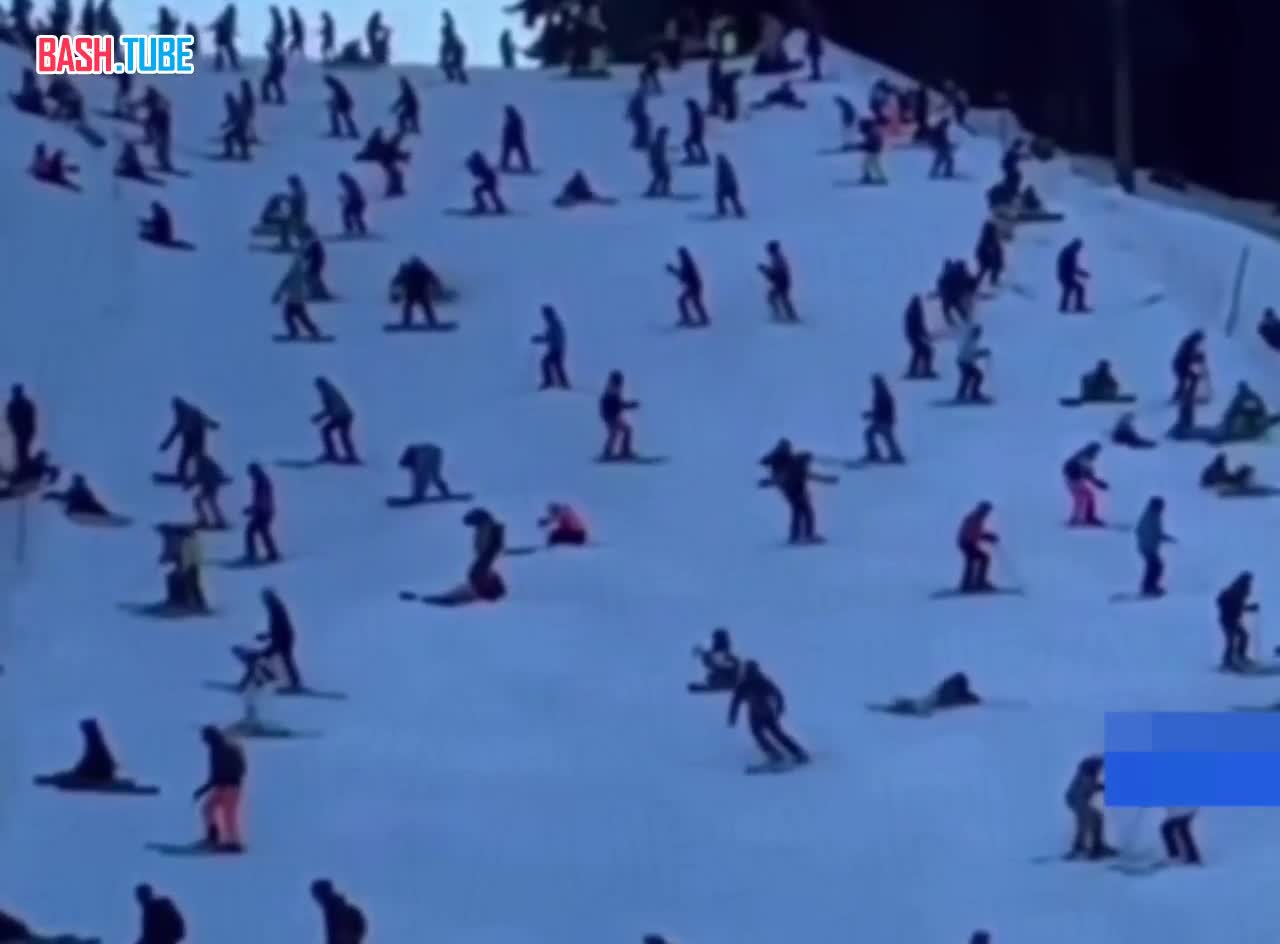⁣ Пьяные лыжники заблокировали собой склон в Австрии