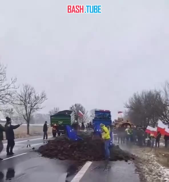 ⁣ Поляки восстали против украинцев: заваливают дороги шинами, вываливают зерно из украинских фур