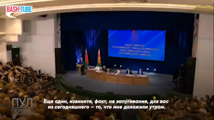 ⁣ «По болотам переползали», - Лукашенко сообщил о задержании «украинской диверсионной группы»