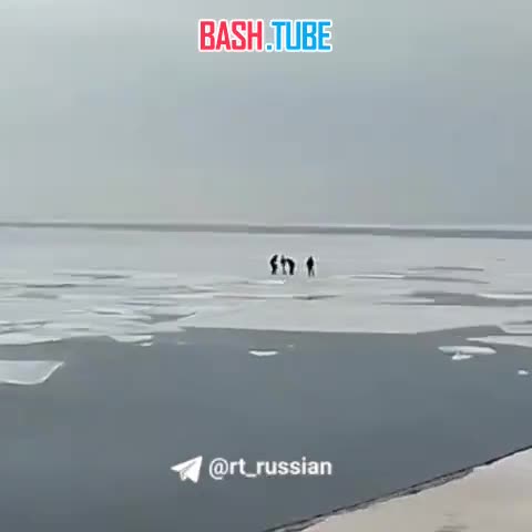 ⁣ Группу школьников едва не унесло на льдине во Владивостоке