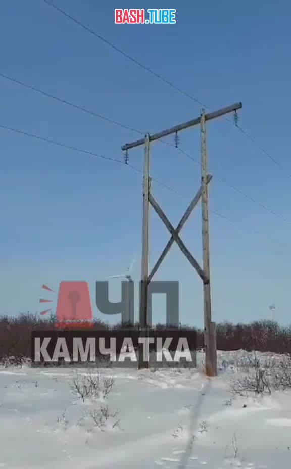 ⁣ Рысь на электрическом столбе заметили в Усть-Камчатском районе на Камчатке