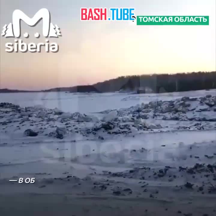 ⁣ Новости науки из Томской области, где рабочие откопали огромную кость, предположительно мамонта