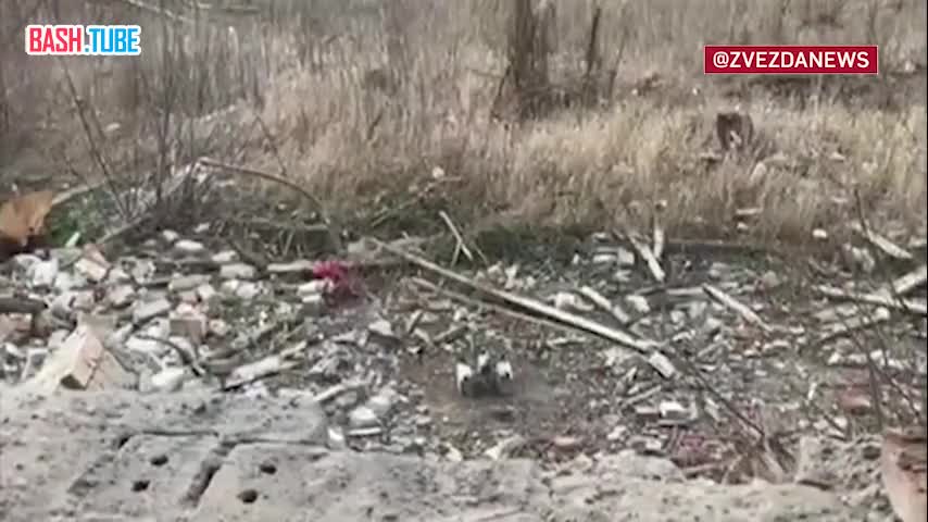 ⁣ Забайкальские десантники уничтожили FPV-дронами пункт управления БПЛА противника в районе Часова Яра