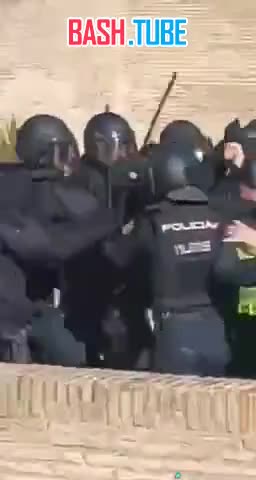 ⁣ Испанская полиция не в состоянии сдержать разгневанных фермеров