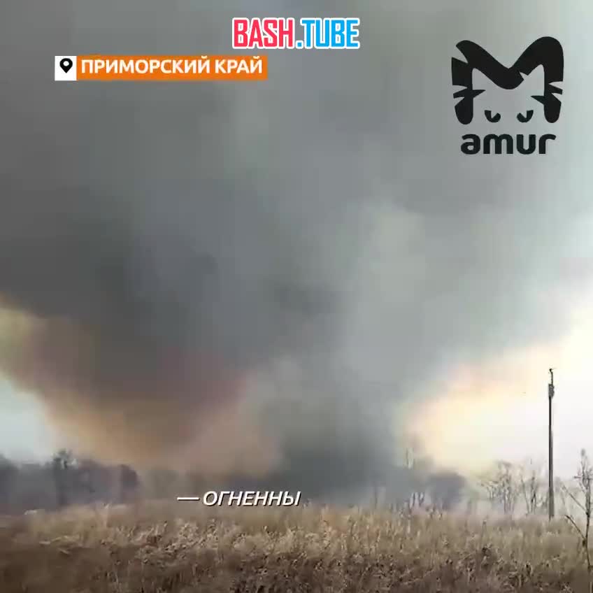 ⁣ Во время лесного пожара в Приморье поднялся огненный смерч