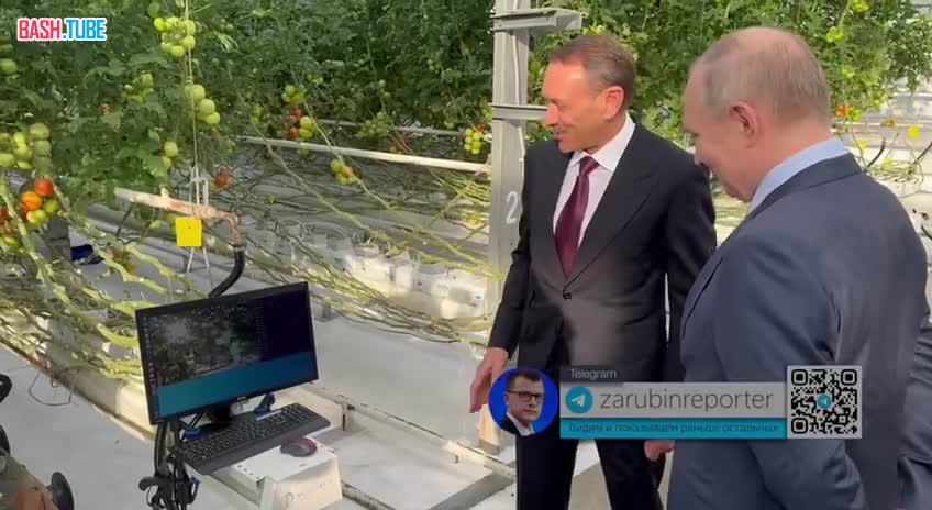 ⁣ Путину на Ставрополье показывают робота, который умеет собирать помидоры
