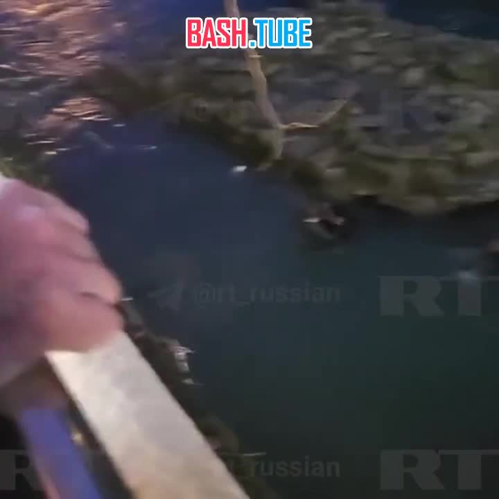  Момент спасения мужчины, который упал в реку в Сочи