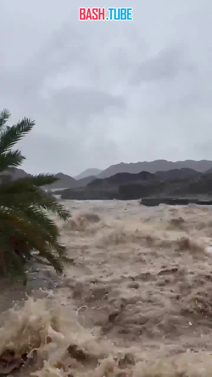 ⁣ Саудовскую Аравию и ОАЭ накрыло наводнение из-за сильных ливней, сообщили The National и Khaleej Times