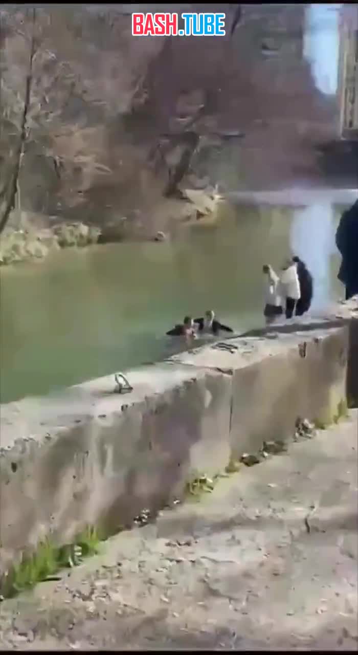 ⁣ В Сочи школьник спас другого школьника из реки