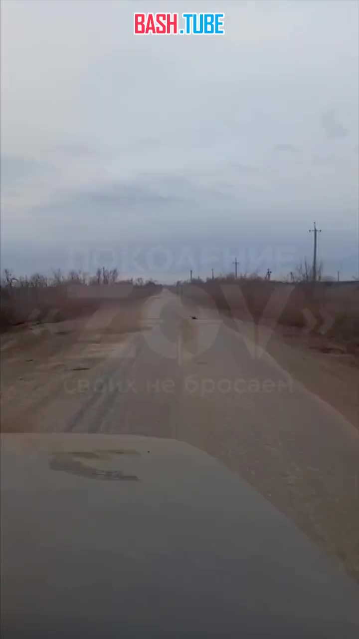⁣ Российские бойцы из 70-го полка при движении по дороге услышали предупреждение всенаправленного детектора БПЛА «Булат»