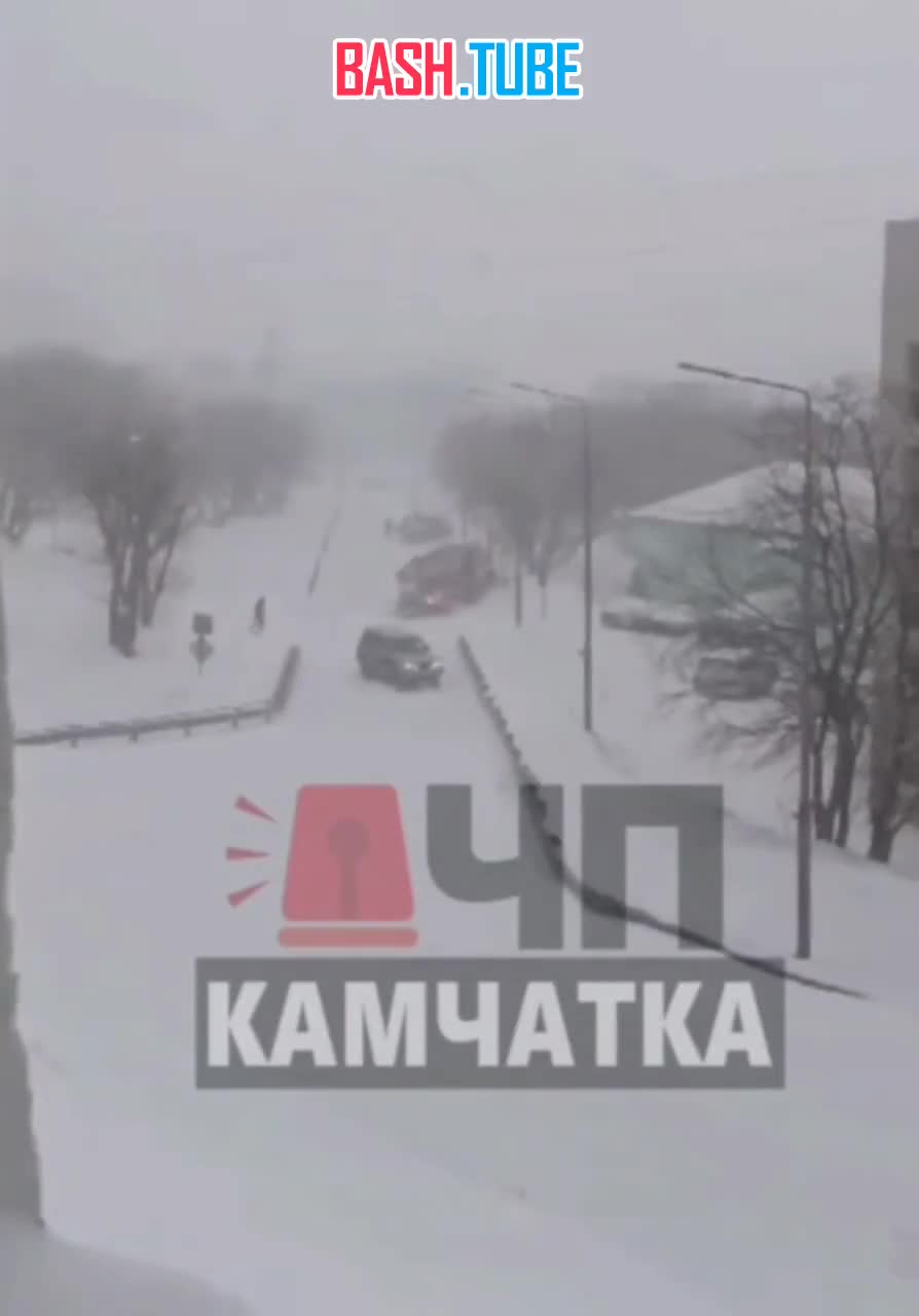  На Камчатке сегодня снежный апокалипсис