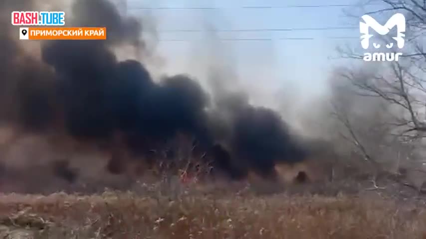 ⁣ Пожары из-за пала сухой травы вспыхнули в двух районах Приморья