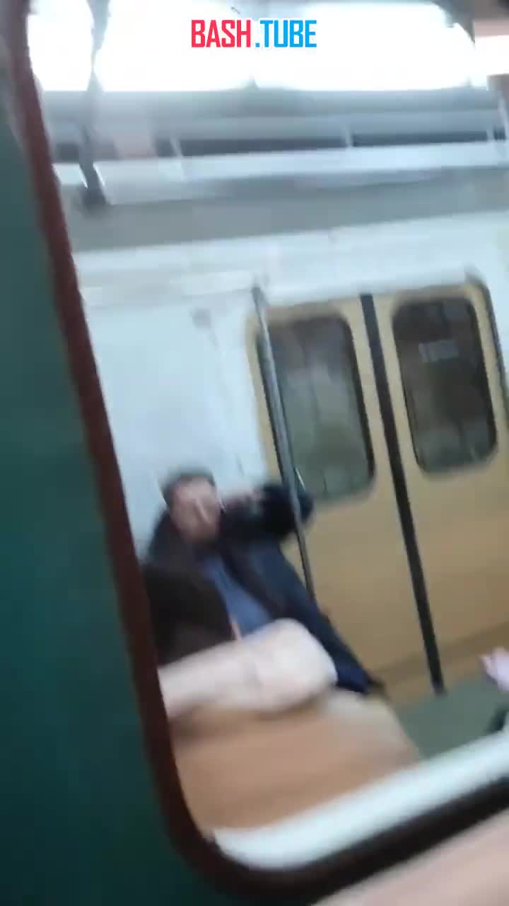 ⁣ Шпиц свалился на рельсы в Московском метро
