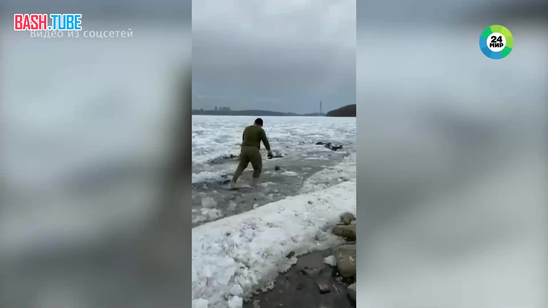 ⁣ Крошку-тюленя спасли в Приморье