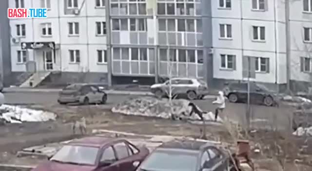 ⁣ В Челябинске бродячие собаки напали на девушку