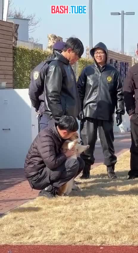 ⁣ Вот как проходят рабочие будни корги, который поступил на службу в полицию Китая