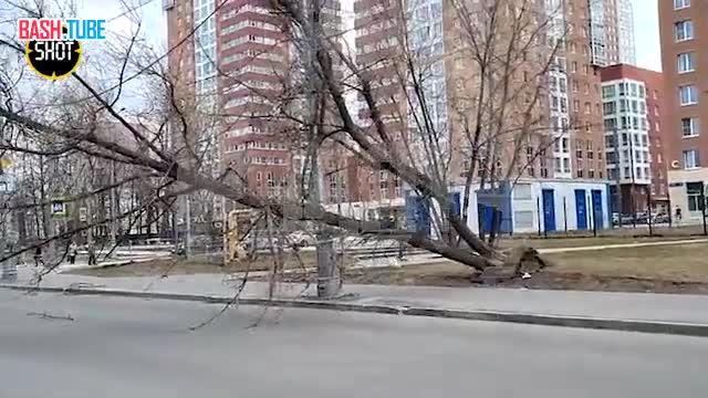 ⁣ Ураганный ветер бушует в Москве: повалил несколько деревьев, перевернул палатки