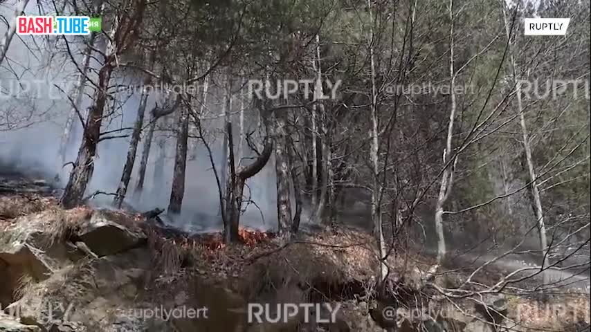 ⁣ Экстренные службы Греции борются с лесным пожаром, бушующим в регионе Пиерия