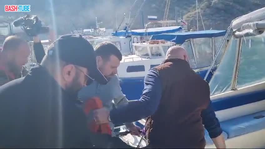  Дельфина, которого спасли в Евпатории, вылечили и сегодня выпустили в море, сообщила руководитель Росприроднадзора