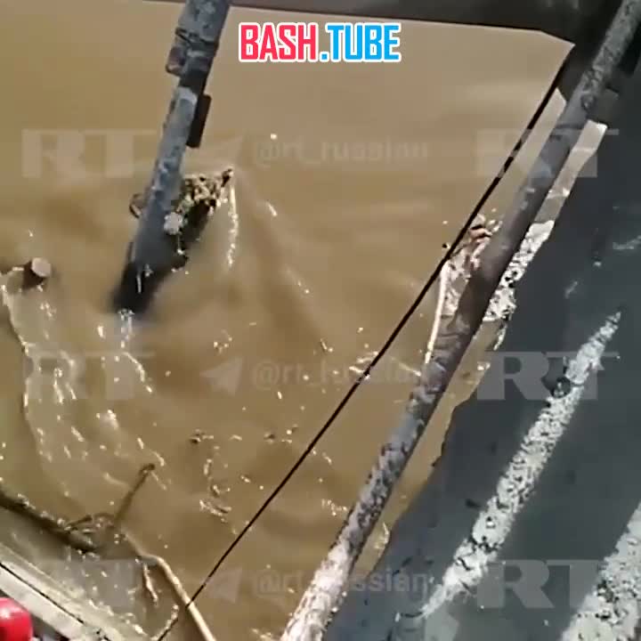 ⁣ В Саранске спасатели вытащили сторожевую собаку, которая упала в реку и застряла у шлюзов плотины из-за быстрого течения