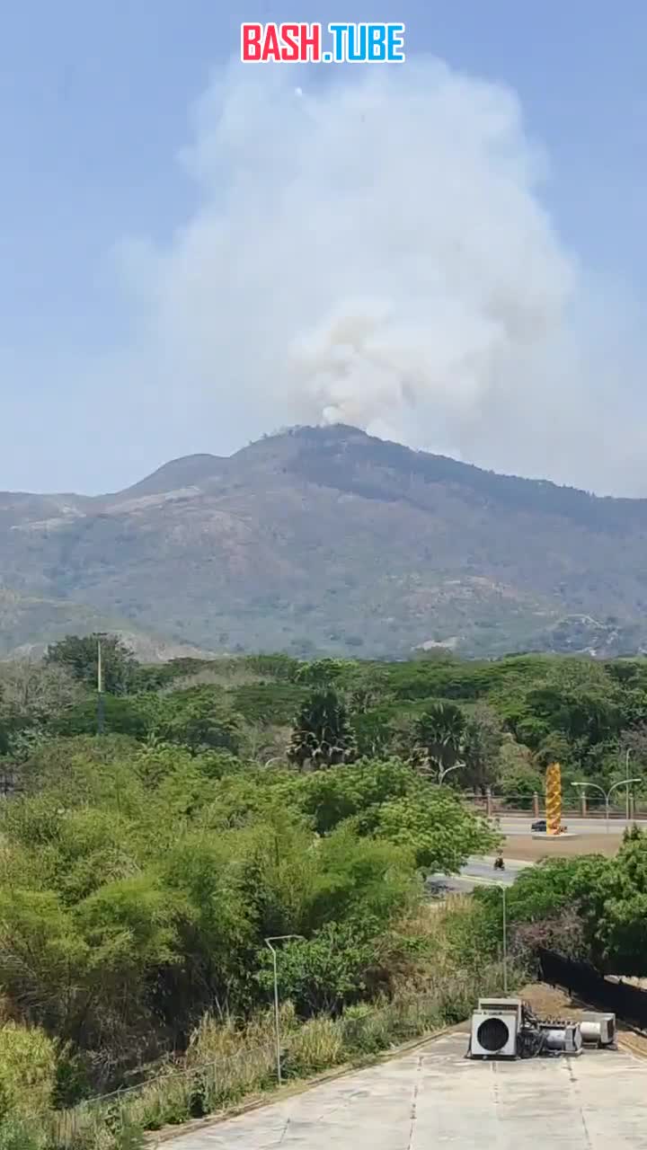 ⁣ Лесной пожар разгорается на горе Монте-Эль-Кафе в Валенсии, Карабобо, Венесуэла, на фоне температуры 37°C в тени