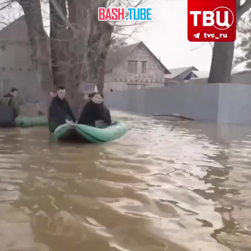 ⁣ Мэр Оренбурга Сергей Салмин спас бродячую собаку, когда осматривал затопленные территории