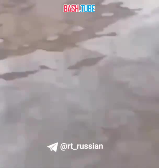 ⁣ Верблюдицу по имени Даша спасают из оренбургского парк-отеля «Нежинка»