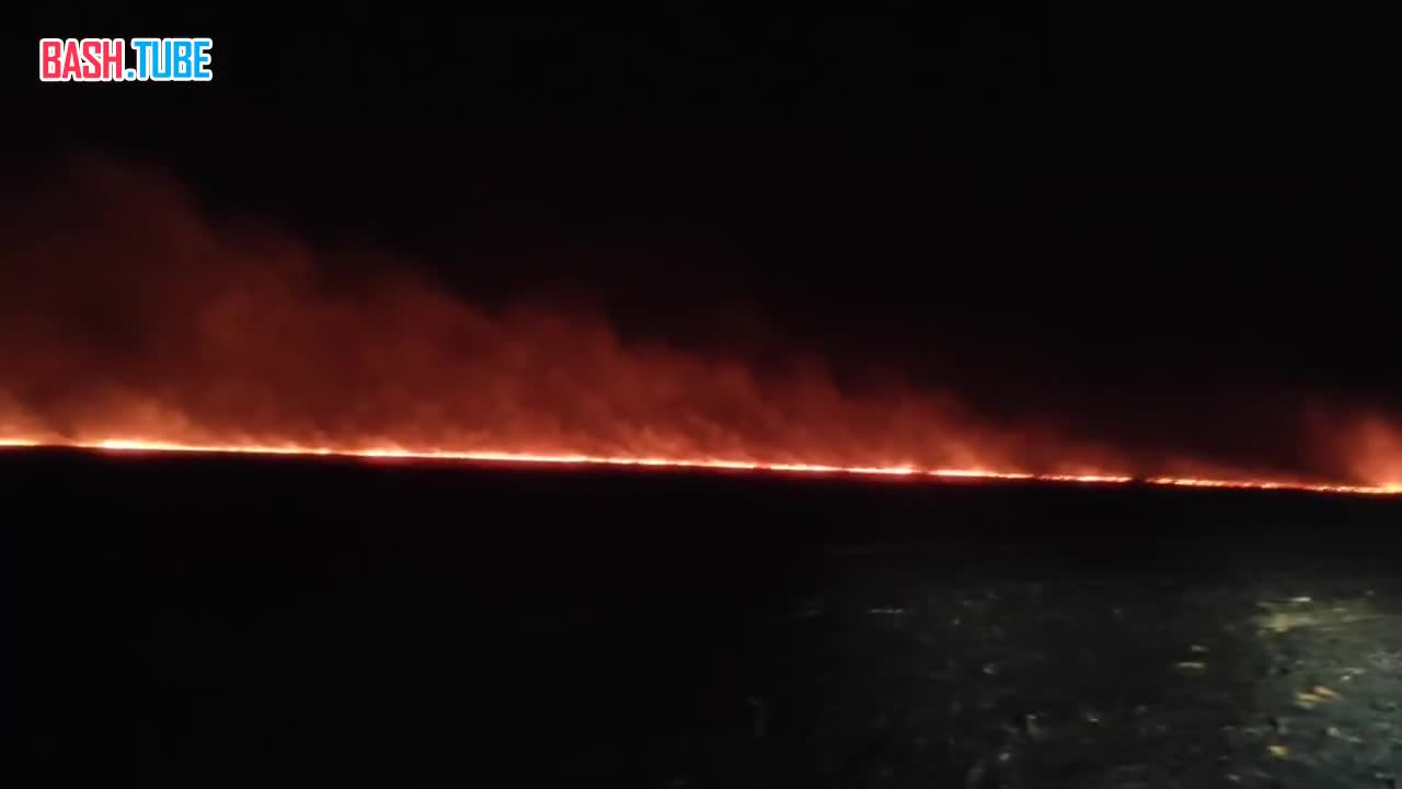 ⁣ Пламя бушует на огромном поле кукурузы в Воронежской области