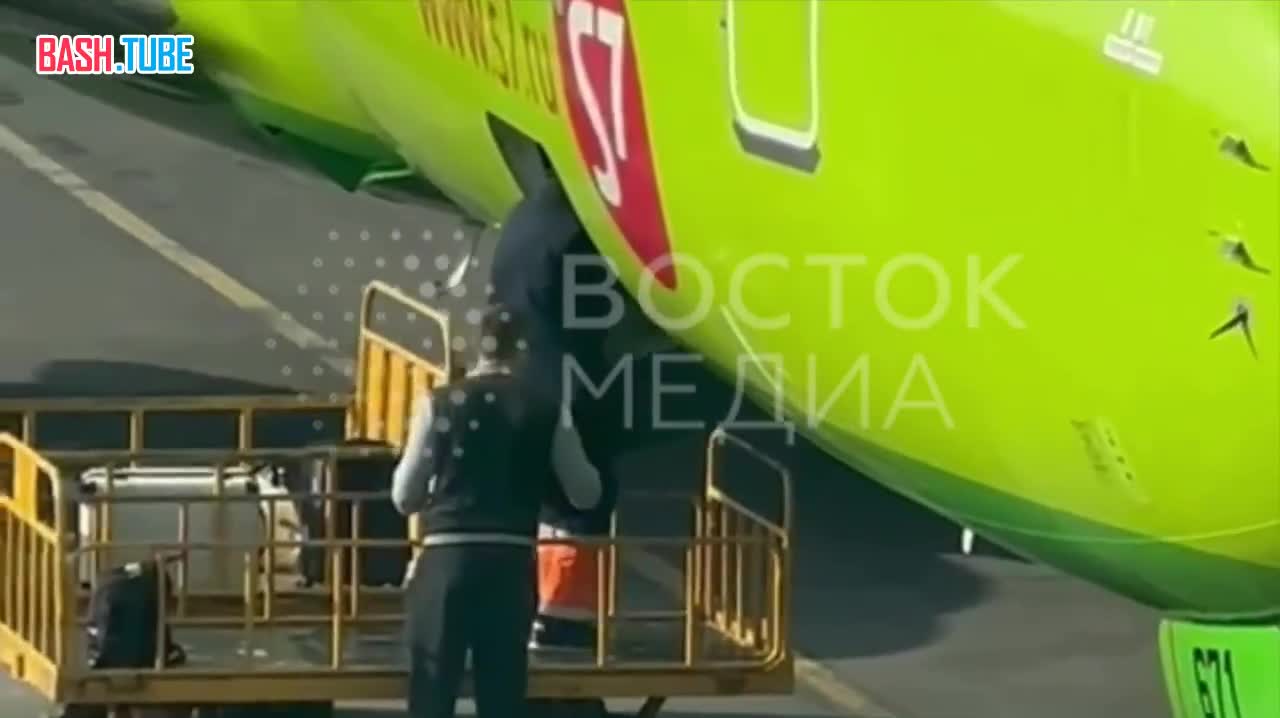 ⁣ Во время рейса авиакомпании S7 Южно-Сахалинск - Владивосток чуть не погибла собака