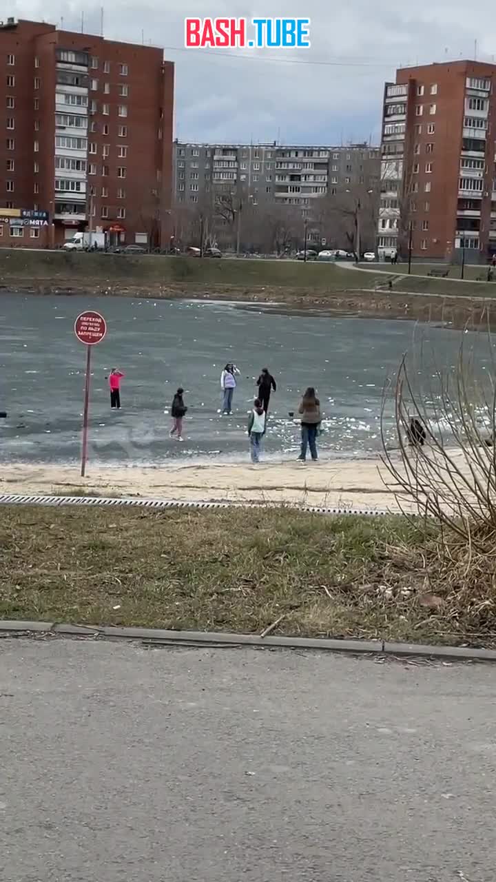  Дети ходили по тонкому льду на пруду