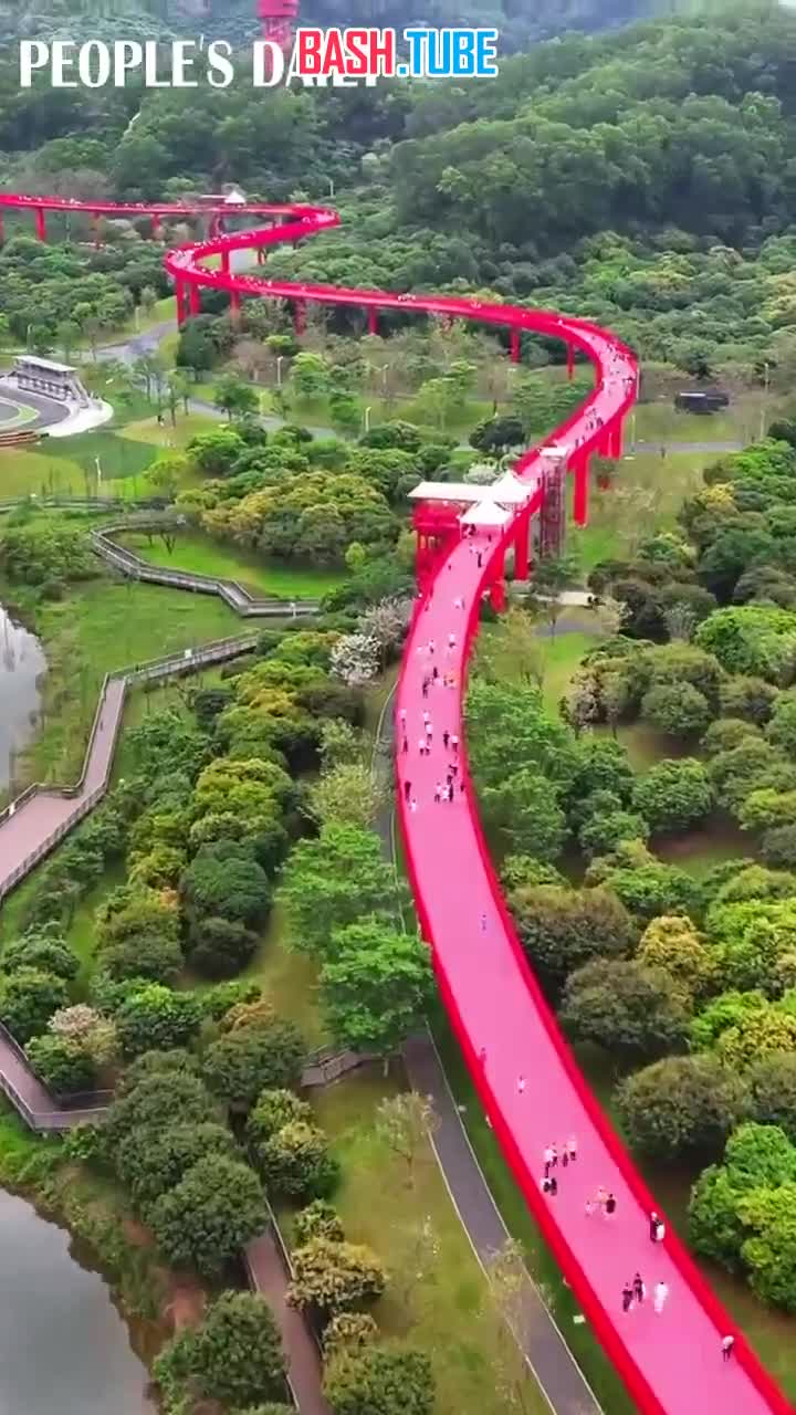  Пешеходная дорожка длиной 4 км в парке города Шэньчжэнь