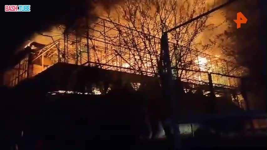  Крупный пожар охватил «Тропик парк» в Евпатории, где содержались боле 200 видов животных