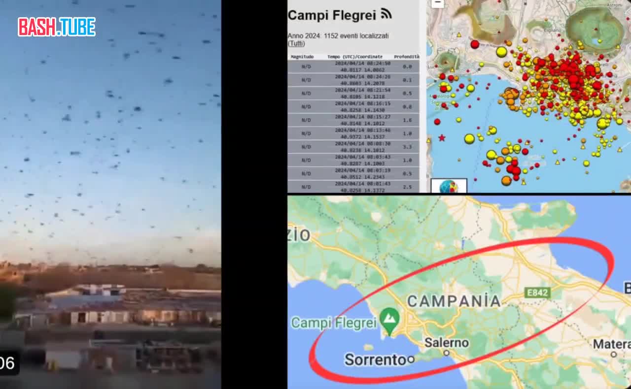  Серия землетрясений в районе Флегрейских полей и массовая миграция птиц из итальянского Неаполя и окрестных районов