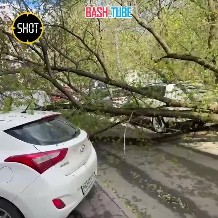 ⁣ Девятибалльный шторм в Москве