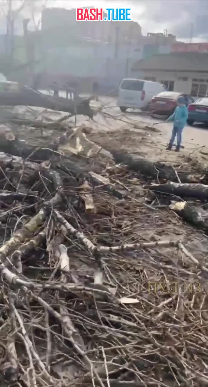 ⁣ Наломал дров прямо в центре Москвы