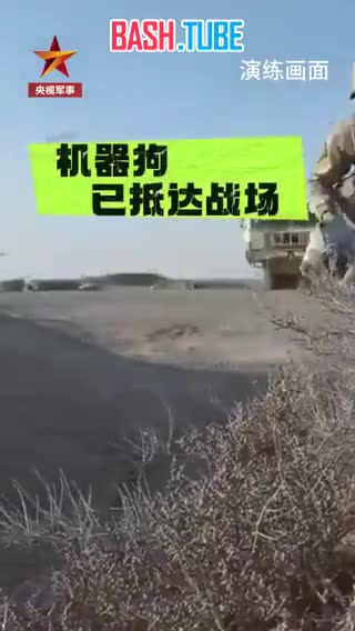 ⁣ Робособака-разведчик на вооружении частей реактивной артиллерии китайской НОАК