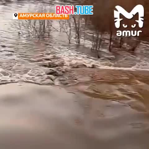 ⁣ Паводок в Амурской области набирает силу - ещё одно село оказалось в блокаде