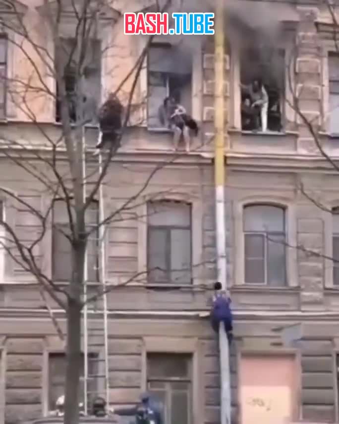 ⁣ В Санкт-Петербурге дворник залез по трубе на 3-й этаж и помог девушкам выбраться из горящей квартиры