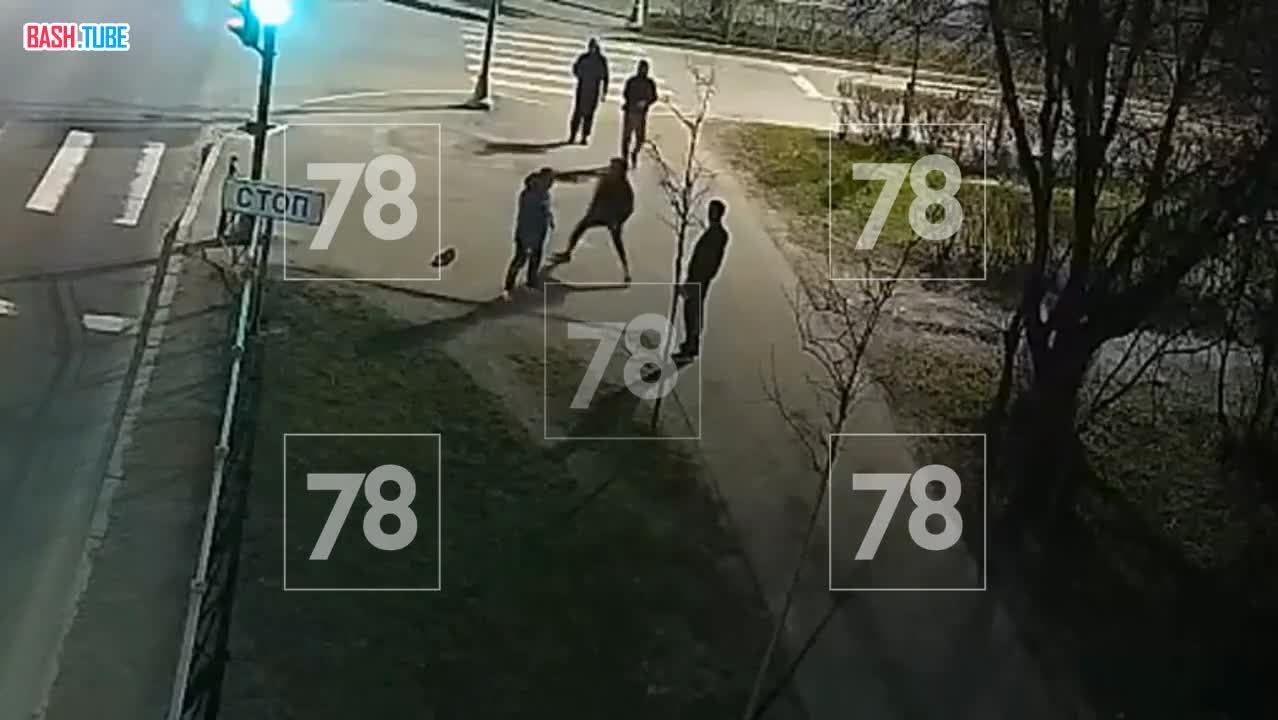  Потасовка возле алкомакета в Красном Селе попала на камеры видеонаблюдения