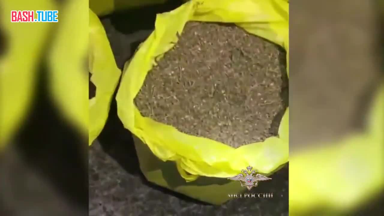 ⁣ У подозреваемого в наркоторговле изъяли более 75 килограммов марихуаны