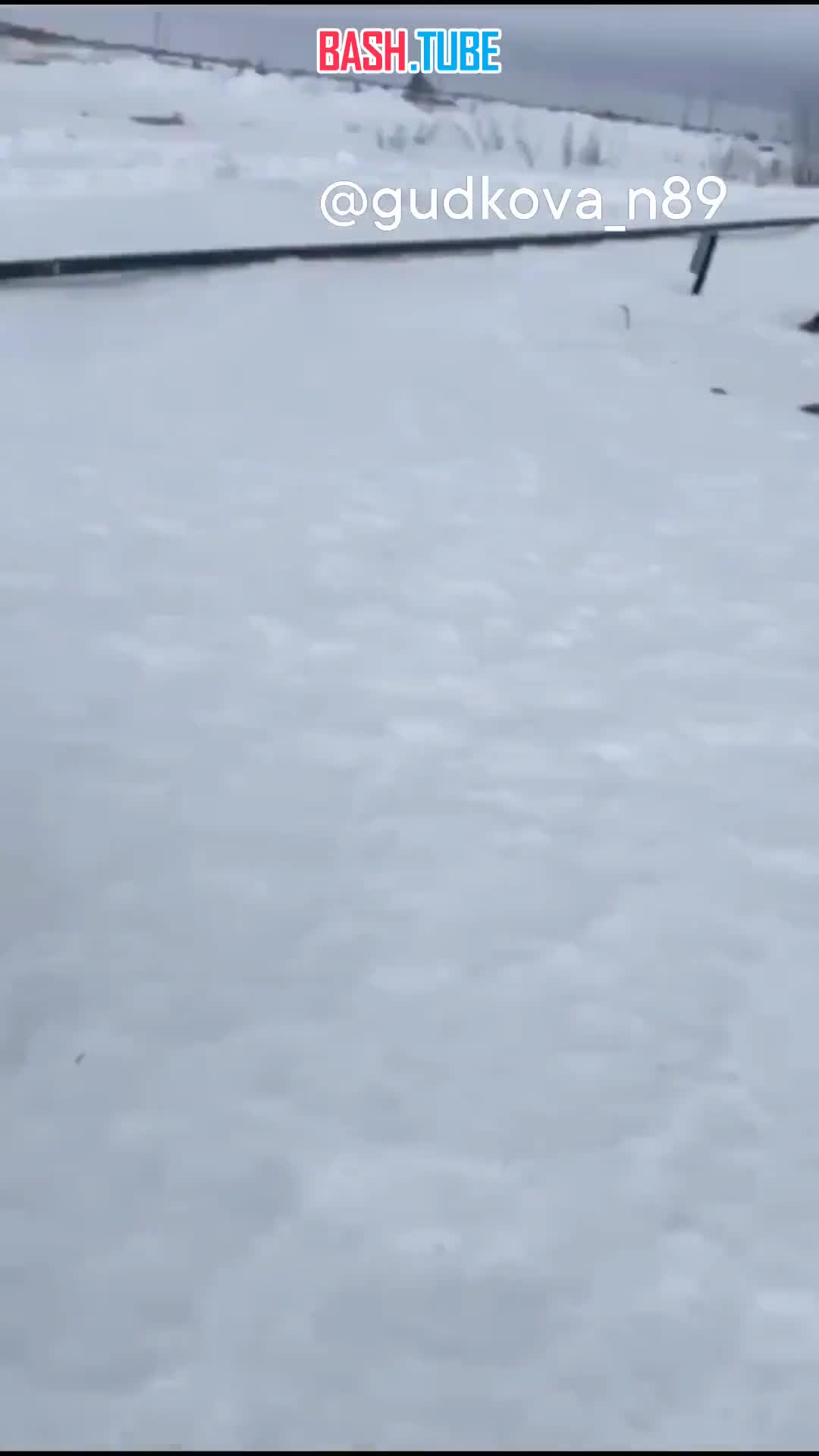 ⁣ На Ямале спасли оленя, который угодил в яму с водой и не мог выбраться самостоятельно