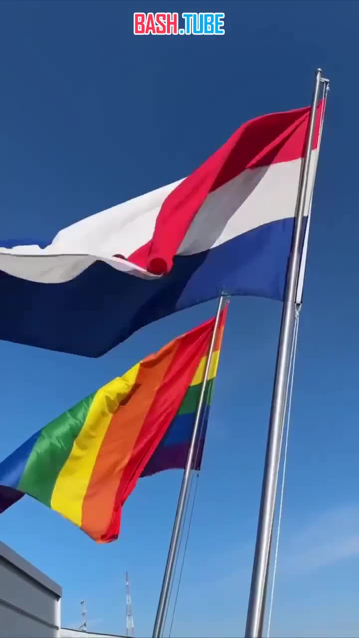 ⁣ В Киеве посольство Нидерландов торжественно подняло радужный флаг над собственным ведомством