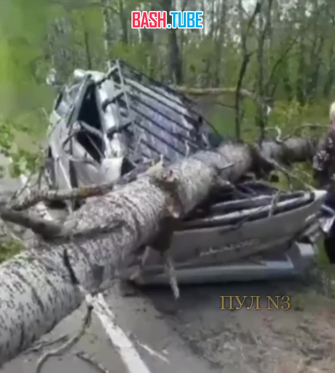  В Хабаровске штормовой ветер валит деревья на машины, крушит дорожные знаки и светофоры и срывает крыши с домов