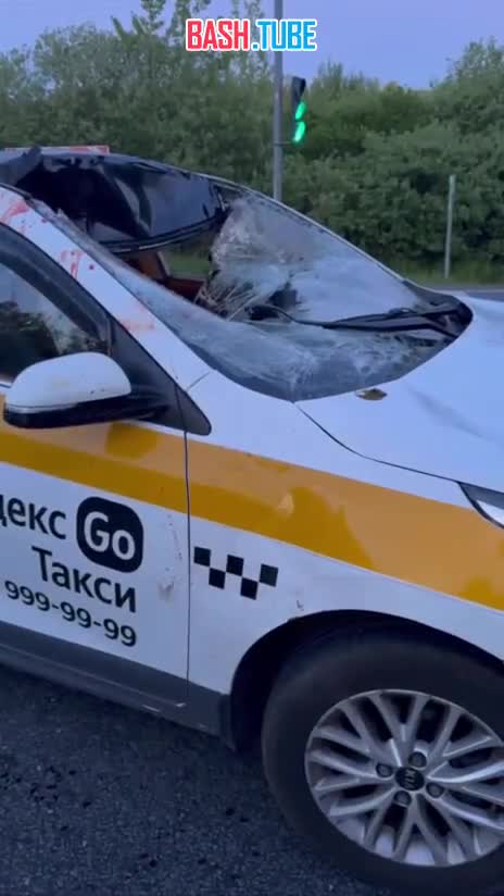 ⁣ Водитель такси сбил лосиху на Дмитровском шоссе в Подмосковье