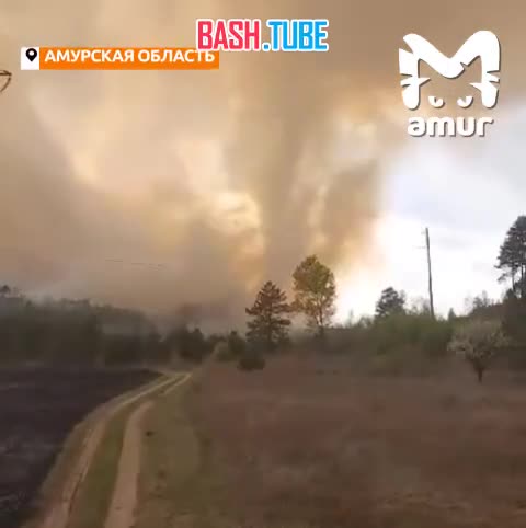⁣ Видео из Амурской области - дымовой смерч попал на камеры пожарных