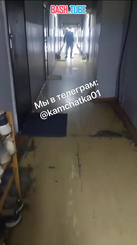  Пьяный мигрант публично оскорблял русский народ в общежитии Петропавловск-Камчатского