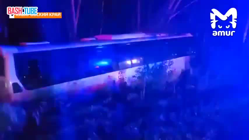 ⁣ Маршрутный автобус на полном ходу врезался в дерево в Хабаровском крае. Водитель погиб на месте